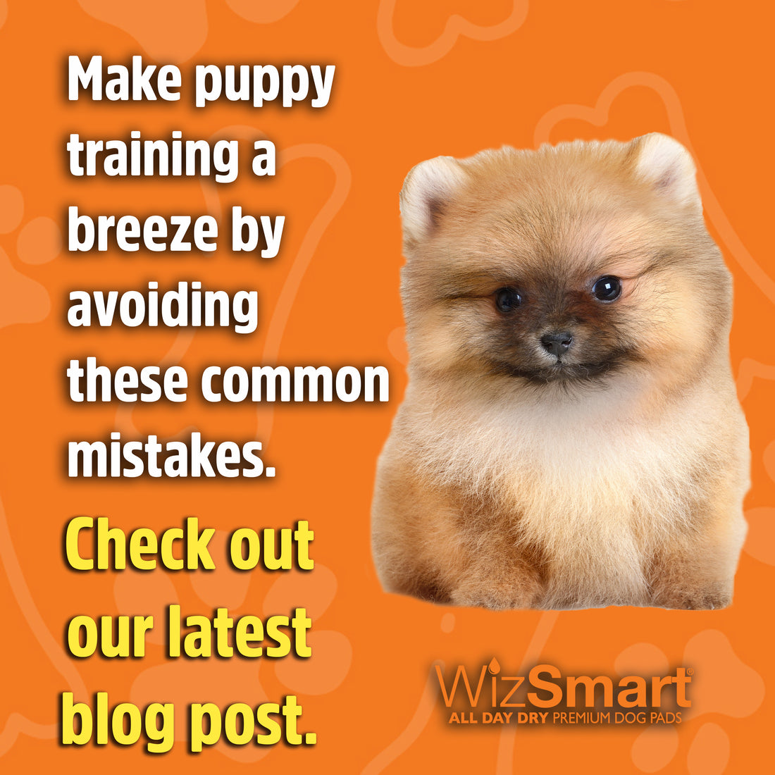8 Dog Pad Training Mistakes to Avoid