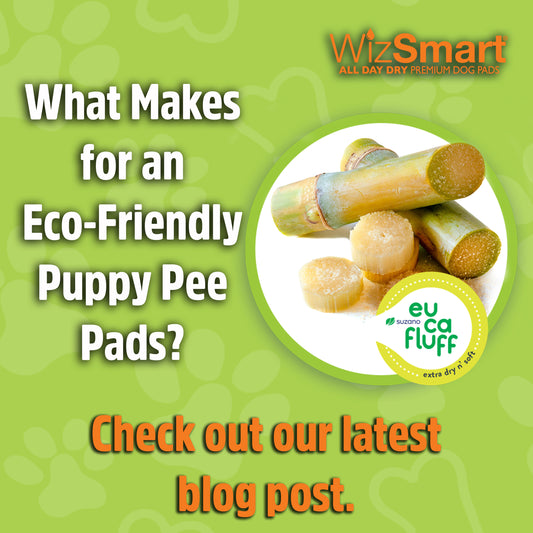 What Makes for an Eco-Friendly Puppy Pee Pads